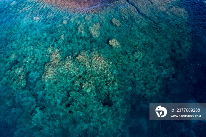 Tropical coral reef aerial view in Kingdom of Tonga