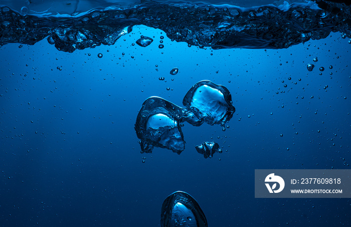 large air bubbles float into the blue light from the dark