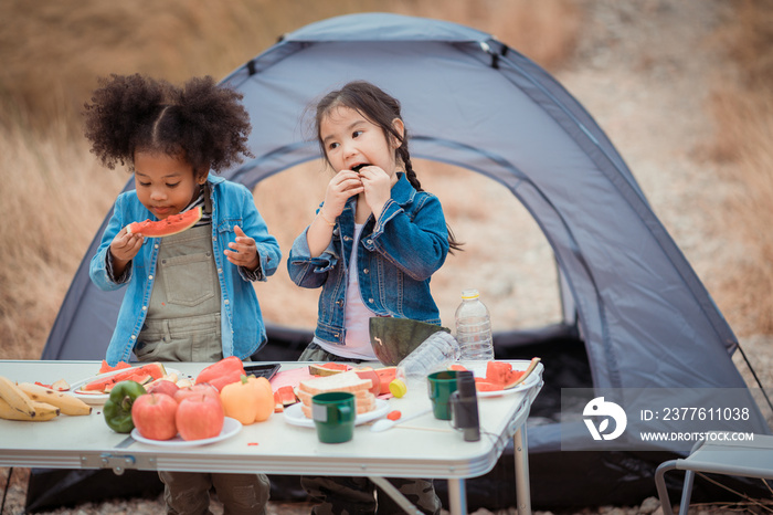 little girl having fun with cooking camping at the park.  family black people and asian having fun in the park. family holiday and camping  adventure activity.