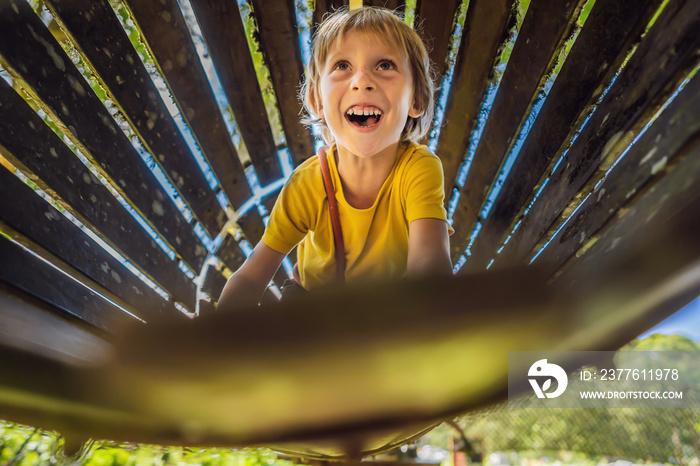 Little boy in a rope park. Active physical recreation of the child in the fresh air in the park. Training for children