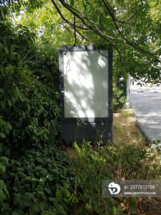 Blank Billboard On The Roadside Between Trees And Leaves