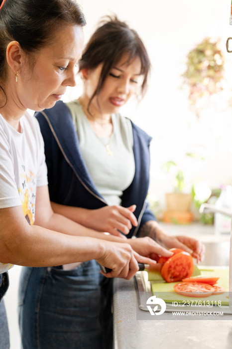 Two women preparing chopping vegetables in kitchen