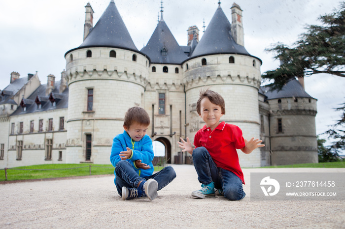 Cute portrait of two children, cute boy brothers in Chaumont castle