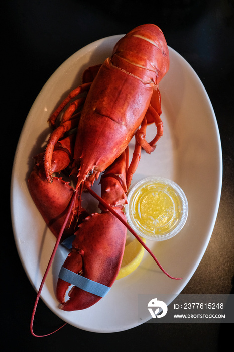 Whole steamed lobster with drawn butter served at a restaurant in Rockport, Massachusetts