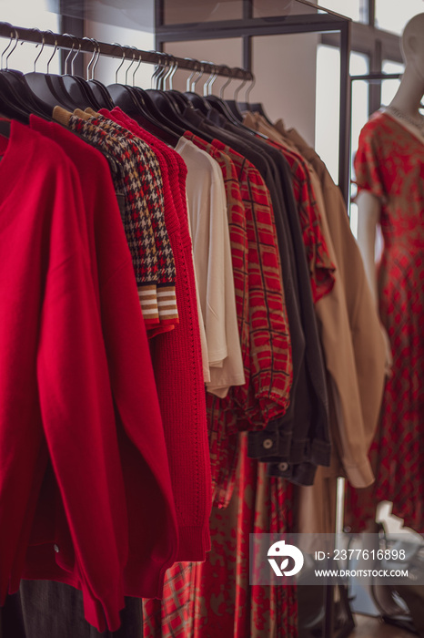 Clothing on hanger at the modern shop boutique.