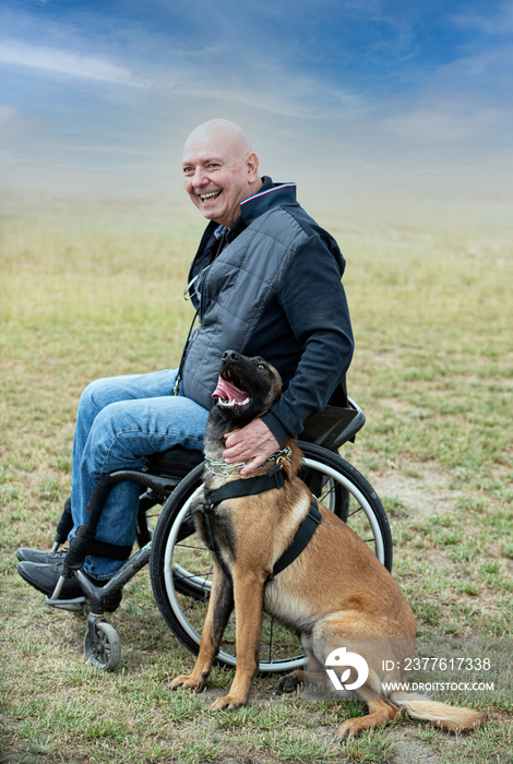 training of belgian shepherd