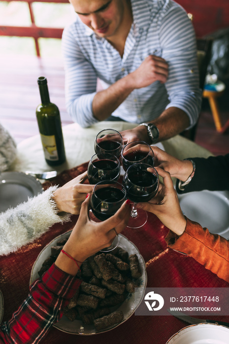 Small group of young and happy friends celebrating, enjoying the lunch and toasting with red wine.