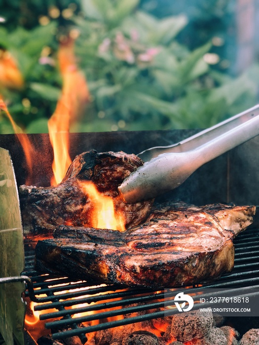 grilled meat on the grill