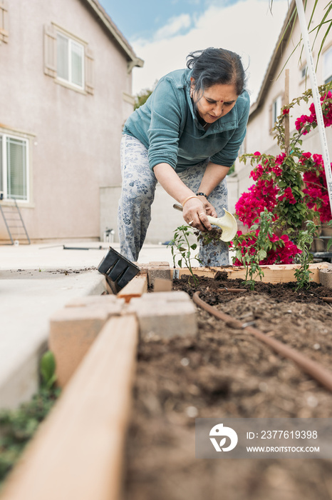 South Asian woman gardening in backyard