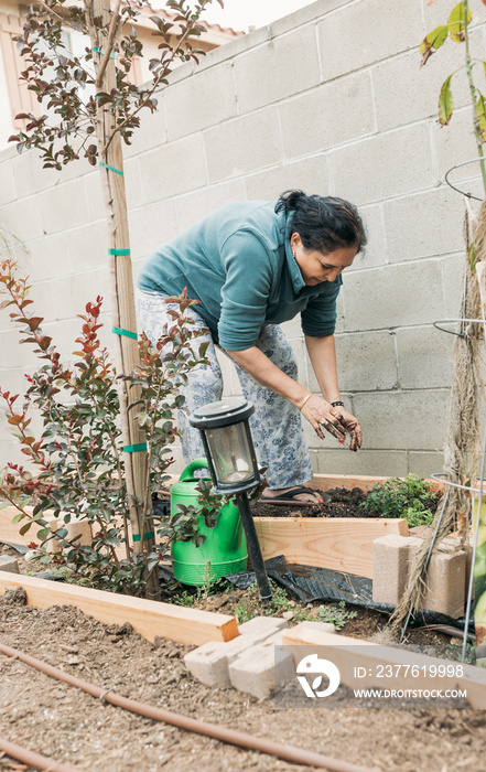 South Asian woman gardening in backyard