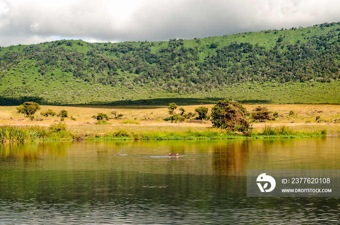 Lake in the savannah of Tanzania