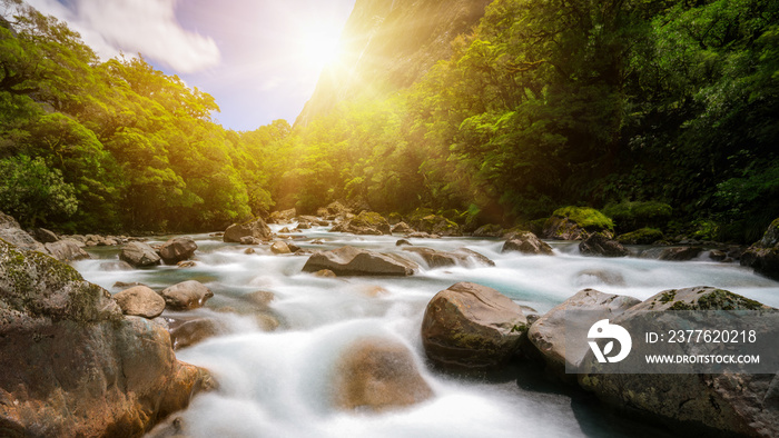 Rocky river landscape in rainforest, New Zealand