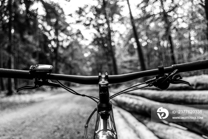 View of the steering wheel from the electric mountain bike in the forest with trees in front, forest path in the left side and tree trunks on the right side