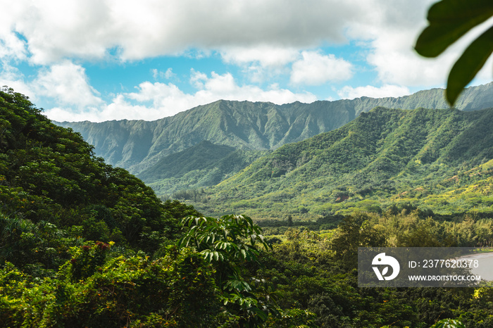 Hawaii  lush green mountain range