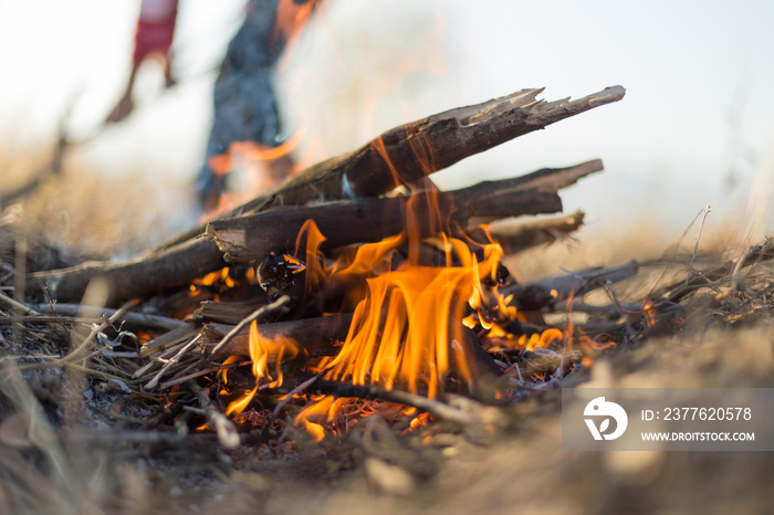 light a fire in nature for food