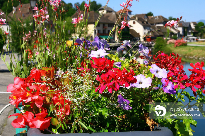 jardinière fleurie