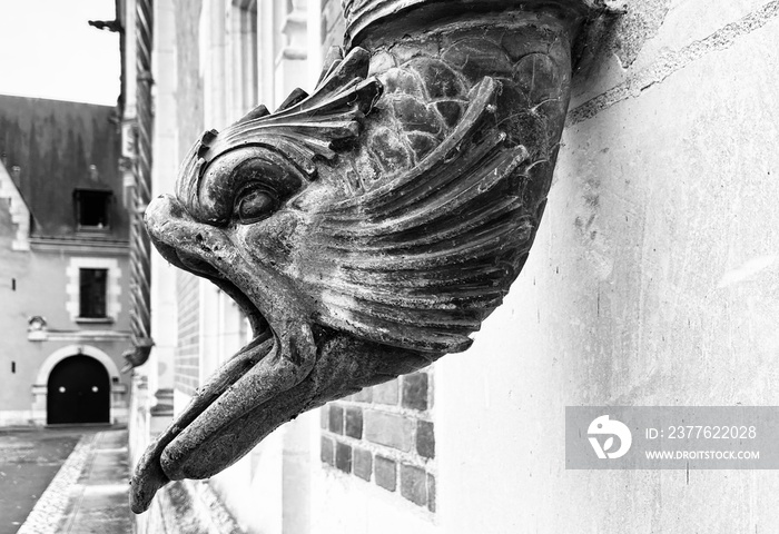 Sortie d’une goutière medivale en forme de tete de poisson antique au chateau de Blois, france