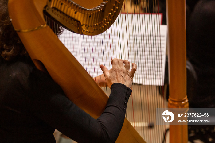 Detail of orchestra, philharmoic player playing on harp during huge philharmonic concert (shallow DOF)