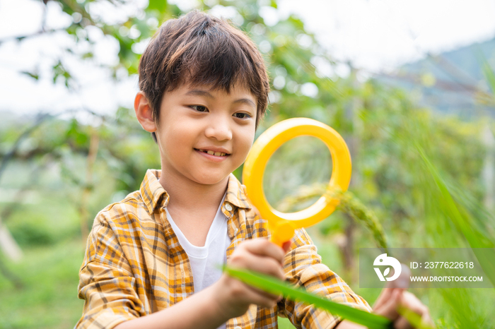 小男孩拿着放大镜观察植物