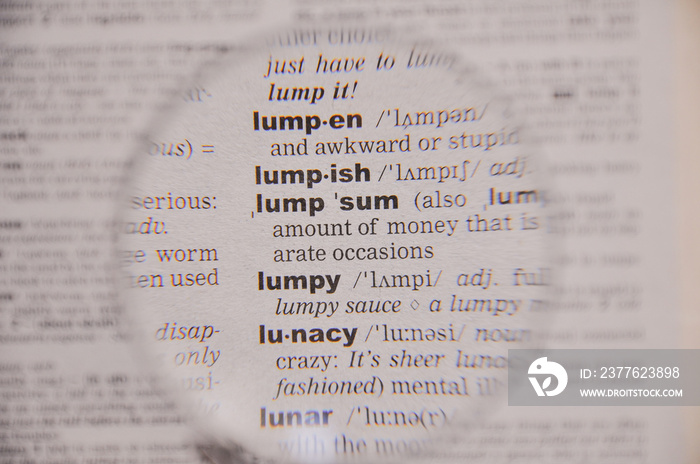 The definition of the word Lump sum in a dictionary, under magnifying glass, translator and language concept