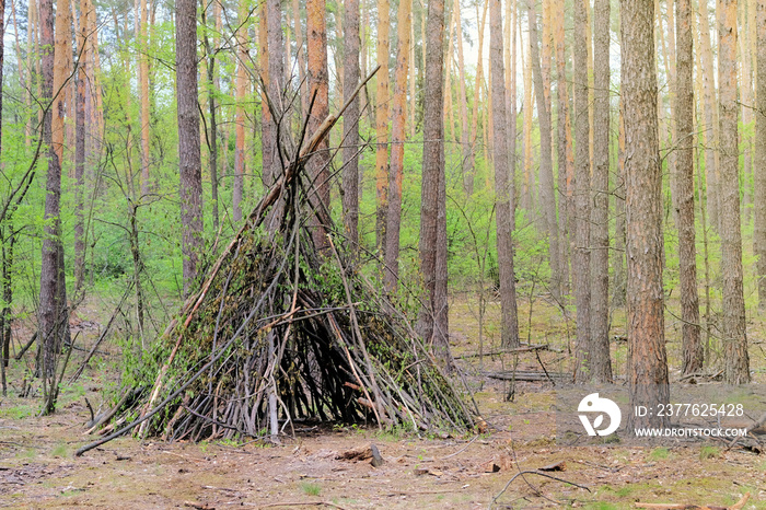 Primitive shelter from all natural materials. Forest hut in summer forest.