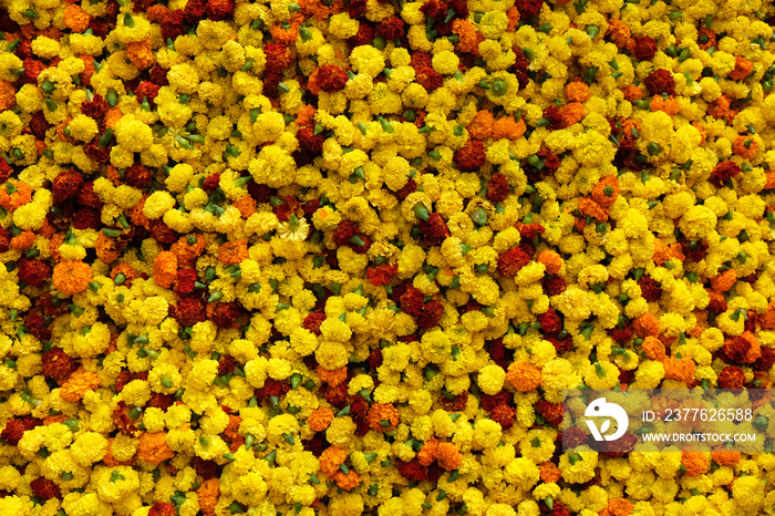 Flowers and garlands for sale at the flower market in the shadow of the Haora Bridge in Kolkata