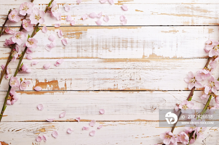 Bunch of spring flowering branches with a lot of pink blossoms on grunged white wooden background. Rustic composition w/ spring flowers on vintage textured wood table. Close up, copy space, top view.