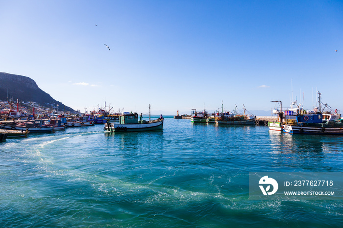 Fishing boat returns from a catch, Kalk Bay, South Africa.