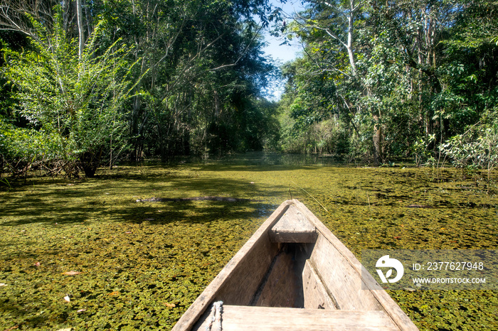 Navegando en un bote de madera a través del bosque inundado en Leticia, región de Amazonas, Colombia.