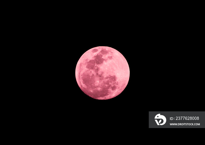 Pink full moon on the dark night.