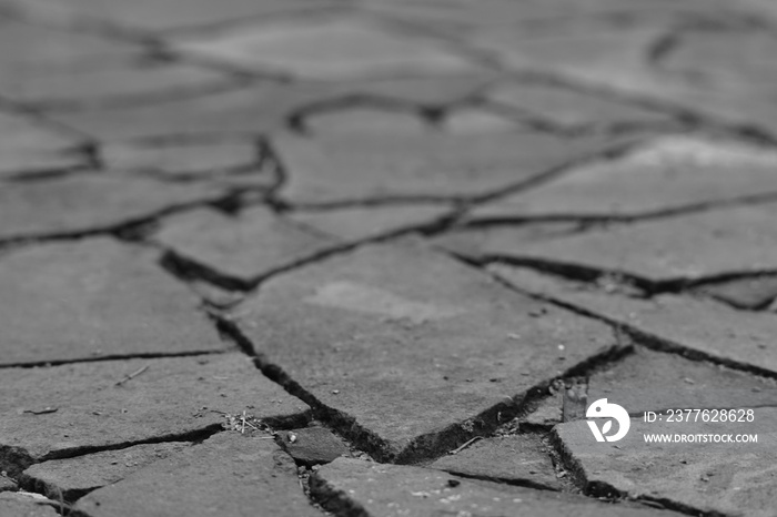 Wild stone floor with seams, black and white photo.