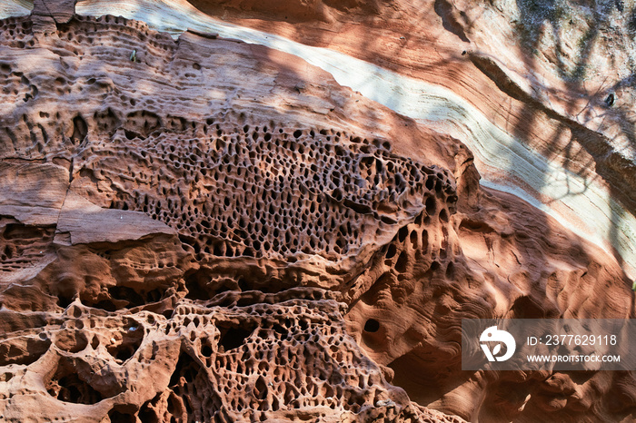 Tafoni honeycomb weathering on red sandstone, Palatinate Forest, Germany.