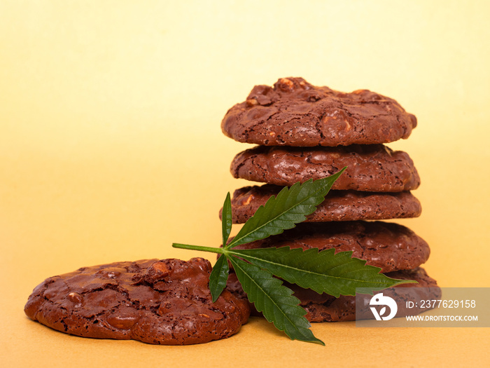 Medicinal Edibles Cookies with Marijuana. cannabis leaf and chocolate chip cookies with nuts. food with recreational drug.