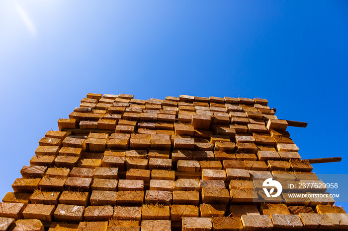 A bright sunny glare is view from below, shining over a large pile of treated wood planks, 4 by 2 boards used in construction of stud walls, with copy space