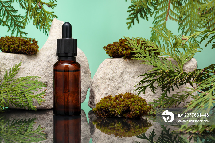 Glass bottle of essential oil among leaves of white cedar and moss against green background. Essence liquid for skin care or alternative medicine.