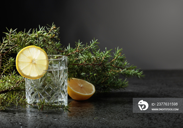 Gin , tonic with slices of lemon and a sprig of juniper .