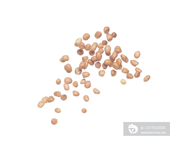 Peanut flying explosion, brown grain peanuts explode abstract cloud fly. Beautiful complete seed pea peanut splash in air, food object design. Selective focus freeze shot white background isolated