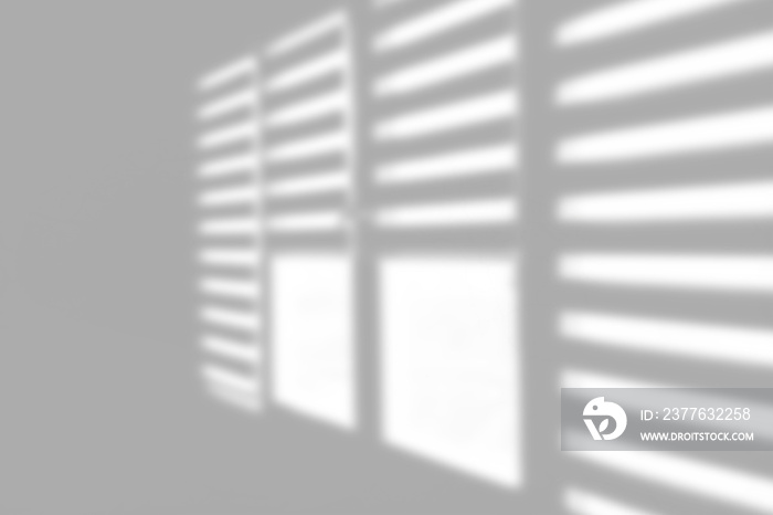 abstract shadow of the window in sun light on white wall texture blur background..