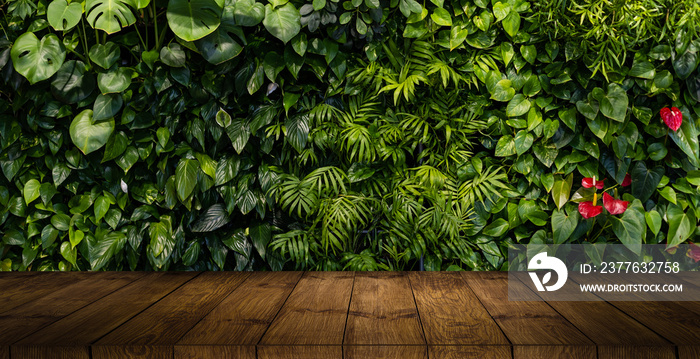 Wood table top on blurred green background - can be used for montage or display your products