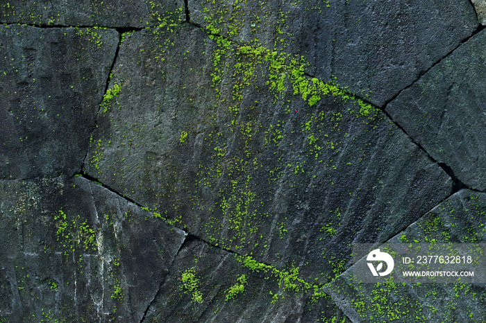 Black stone wall background with green moss and lichen. Nature texture. Empty place and copy space.