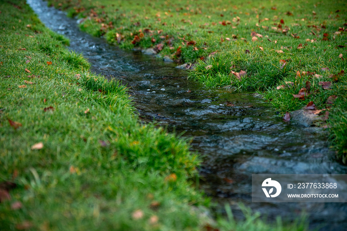 A crystal clear stream flows through a meadow of green lush grass