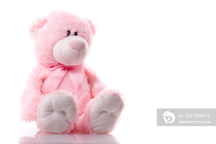 Lovely cute pink teddy bear isolated on white background.