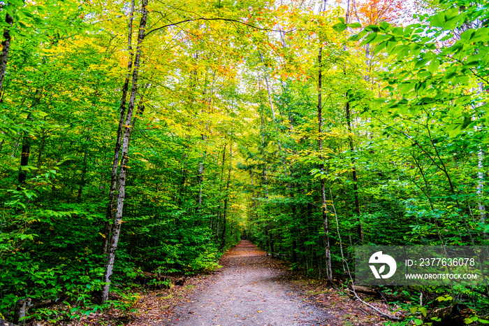 Magical Autumn Pathway in New England