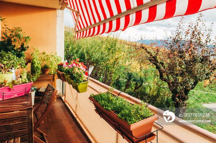 Bright and cozy balcony with many potted plants