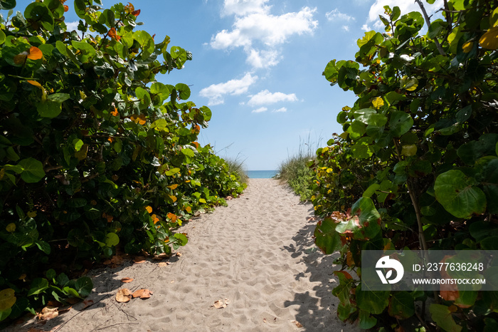 Path to the beach in Jensen Beach, Florida