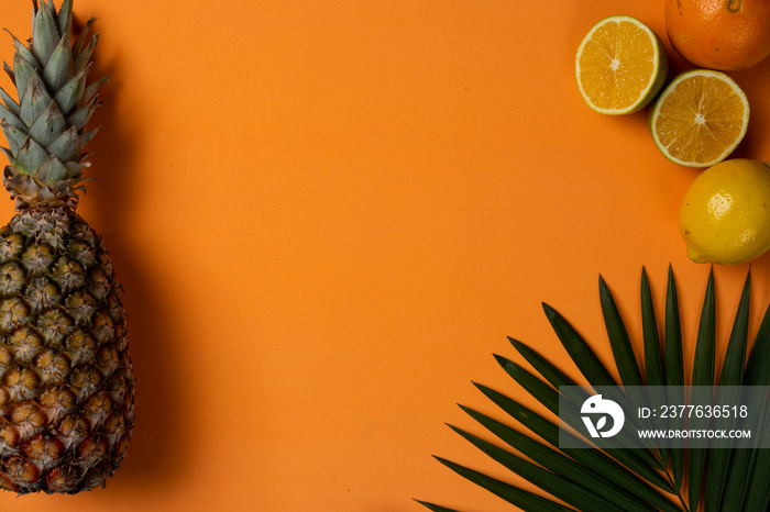 Fruits and Leaves on orange summer beach background