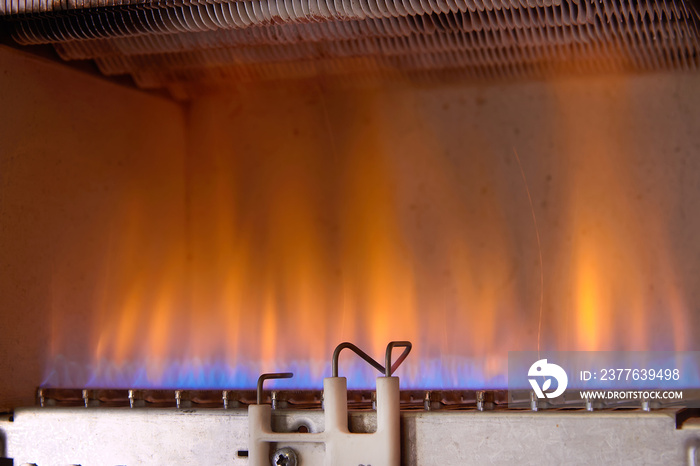 Gas burning in a heating appliance. A stainless steel burner heats a copper heat exchanger.