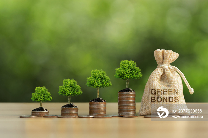 The tree grows on a pile of coins and a money bag in the word green Bonds with green background. Investment on bonds concept. Raising funds to fund environmentally friendly projects.Green bonds.