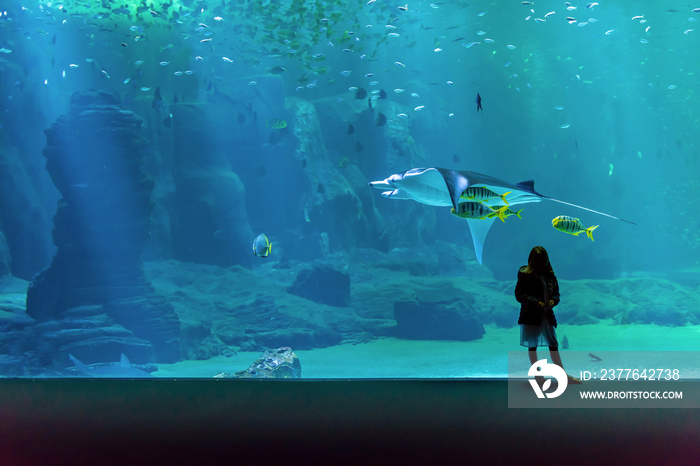 beautiful girl admiring the show of underwater life