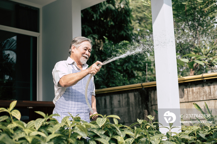 Senior man plant a tree at home